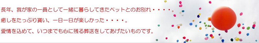 ペットバルーン宇宙葬・挨拶